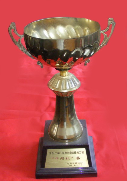 2002年度“中州杯”奖